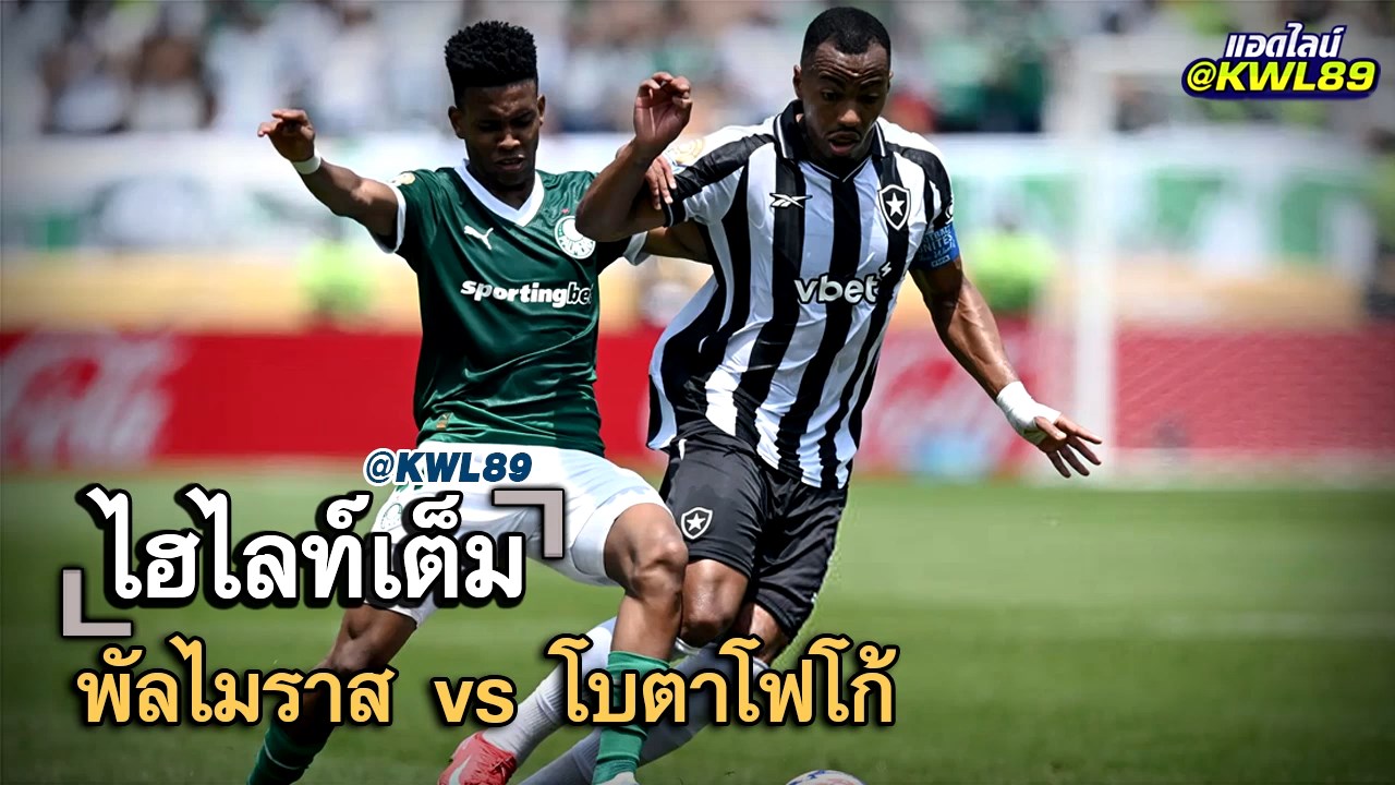 ไฮไลท์เต็ม พัลไมราส vs โบตาโฟโก้
