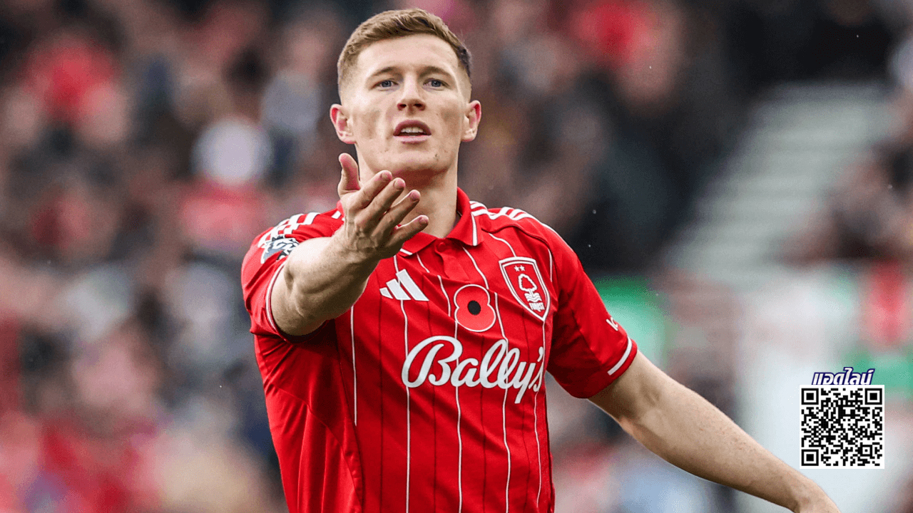 เรือส่งแมวมองซุ่มดู 