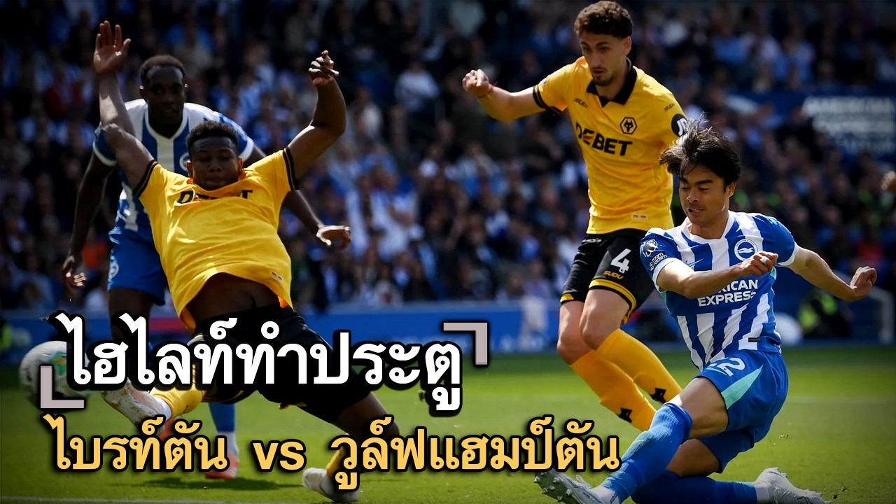 ไฮไลท์ประตู ไบรท์ตัน vs วูล์ฟแฮมป์ตัน